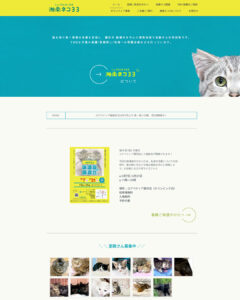 KIIK and LOOK works_湘南ネコ33 公式HP